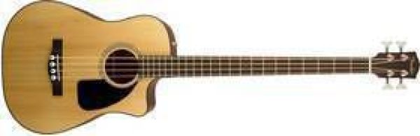 ACUSTIC BASS CB SERIES
